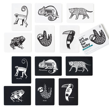 art-cards-high-contrast-vision-for-baby-rainforest thumbnail