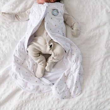 dream-weighted-sack-w-swaddle-wing-0-6-mo-205480_800x thumbnail